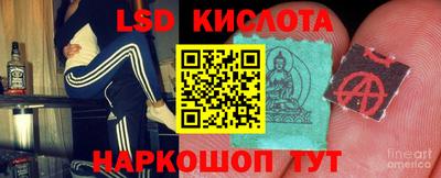 СК Краснознаменск