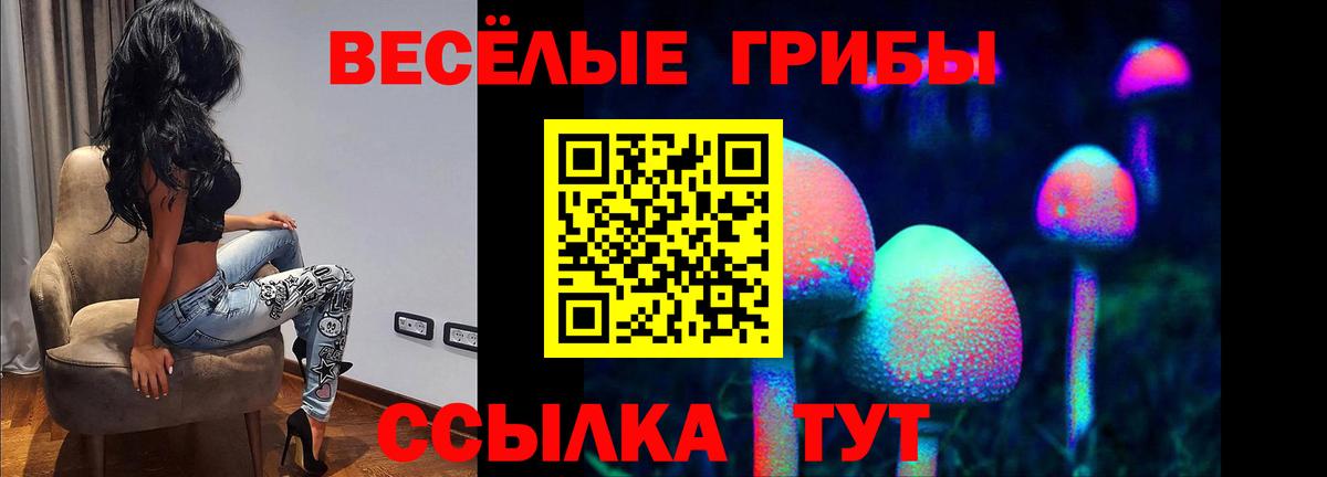 Псилоцибиновые грибы GOLDEN TEACHER  сколько стоит  Горячий Ключ  Вход с VPN 